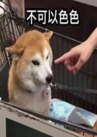 穿成年代恶毒女配短剧